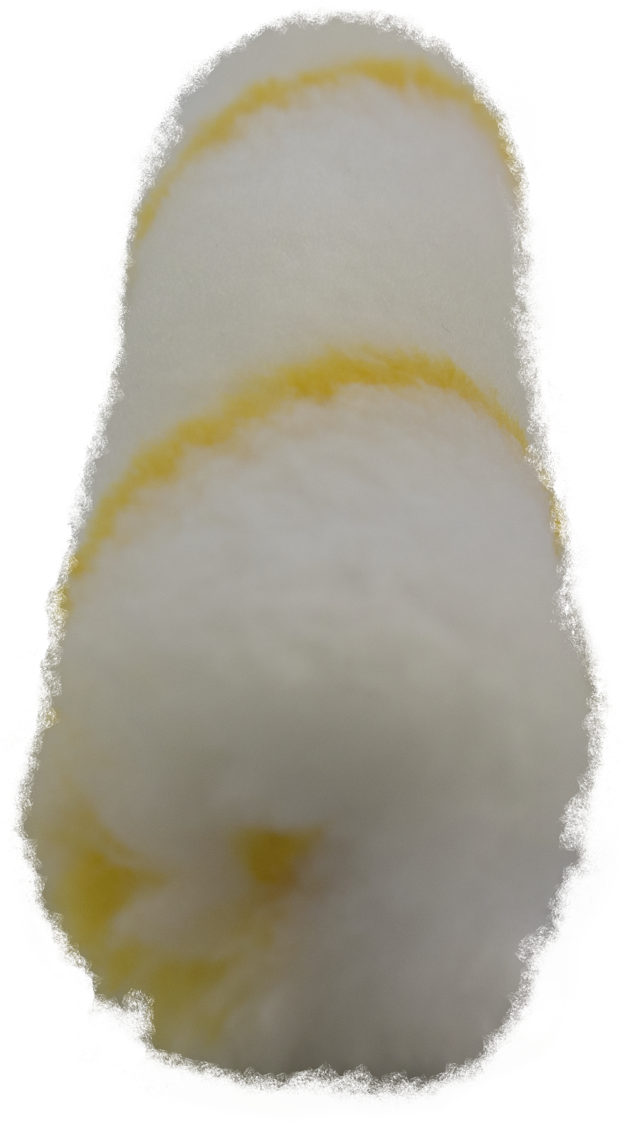 100mm Oz Roller Cover - 50 Pack